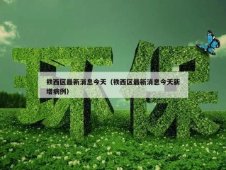 铁西区最新消息今天（铁西区最新消息今天新增病例）
